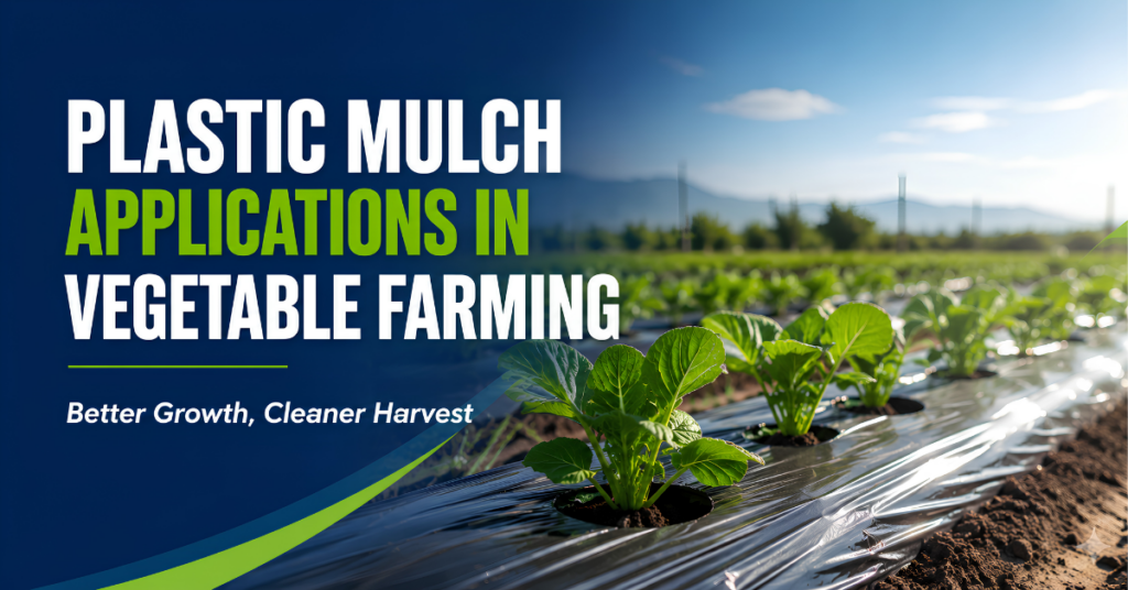 Plastic mulch film used in vegetable farming for cleaner and healthier crop production